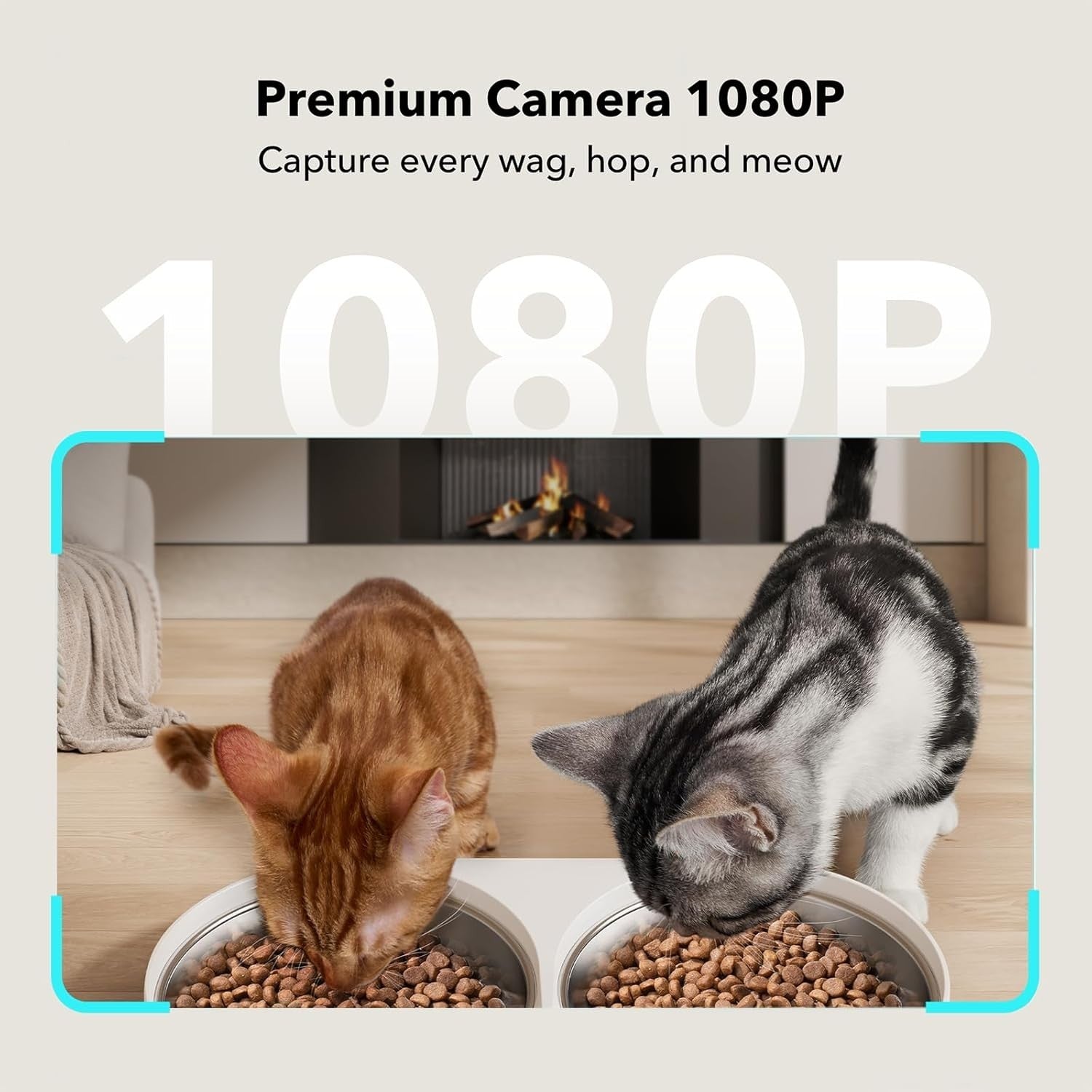 Automatic Pet Feeder Camera WiFi Dual Bowl 1080P HD App Control 5L