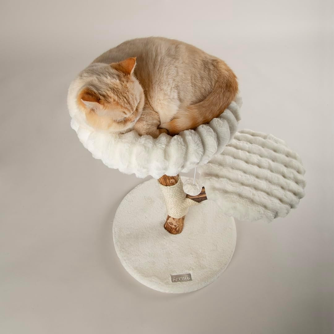 Luxury Cat Scratching Tree with Plush Perch Natural Wood Indoor Climbing Tower