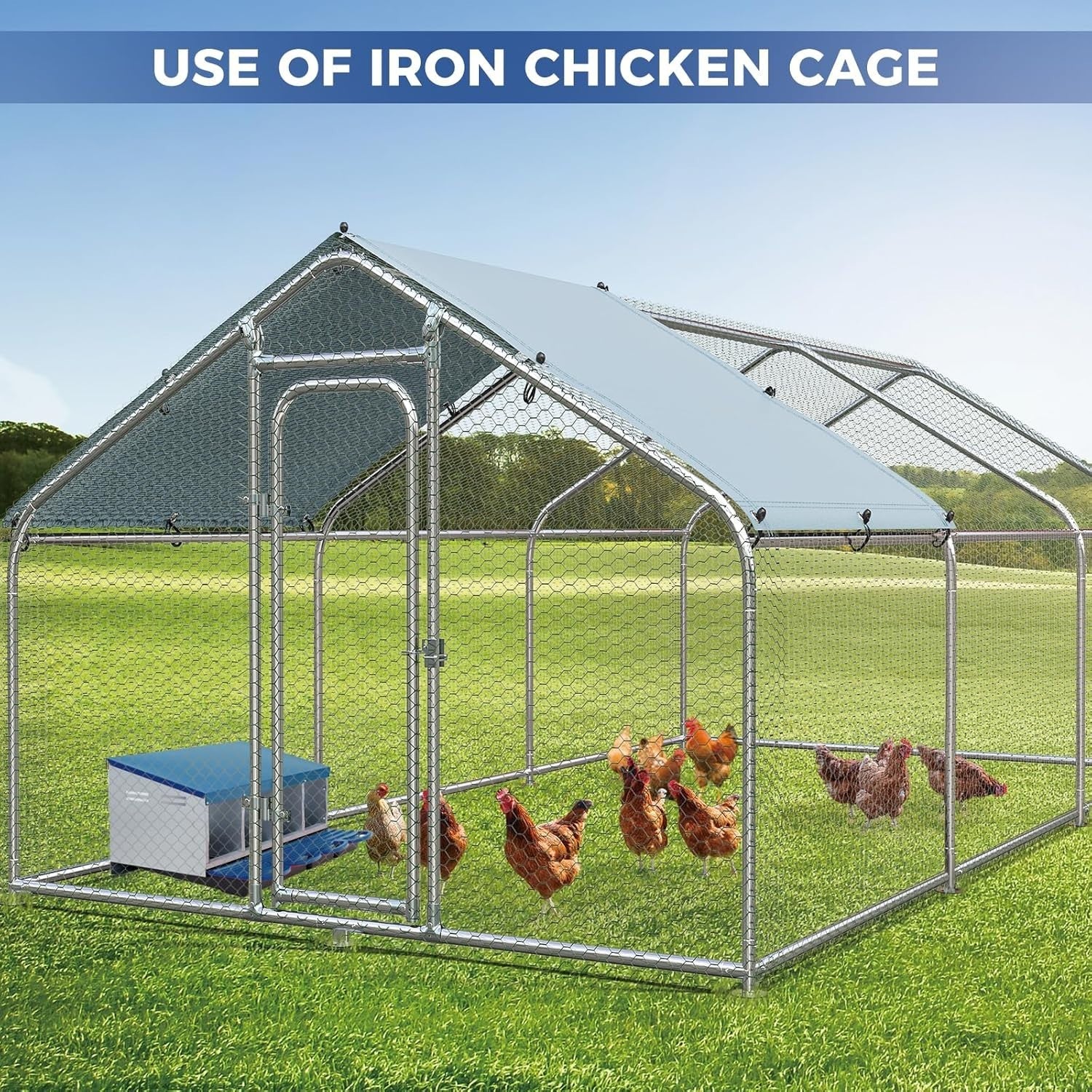 4 Chamber Galvanised Steel Chicken Nest Box Pull Out Tray Blue