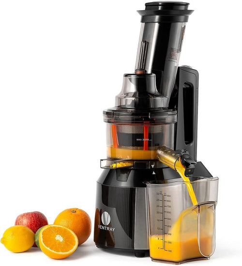 Slow Cold Press Juicer 65RPM Quiet Motor High Yield BPA Free