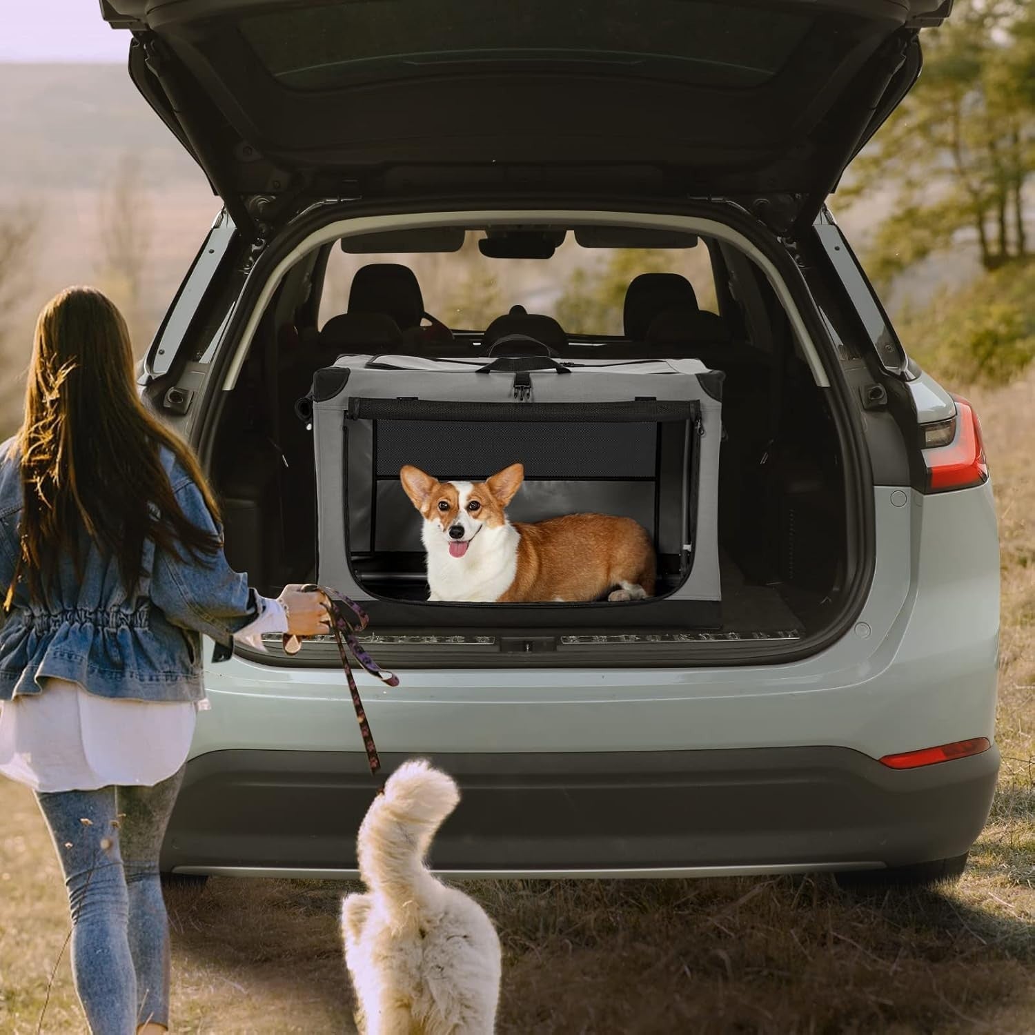 Foldable Soft Dog Crate – Portable Travel Pet Kennel for Home & Car (Grey)