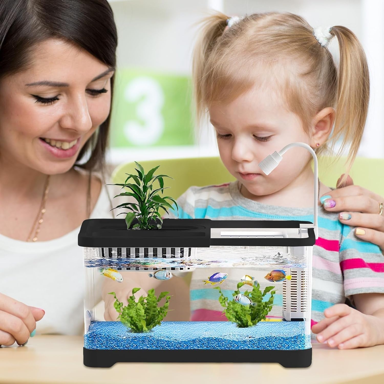 Small Betta Fish Tank with Hydroponic Basket | Desktop Aquarium Kit