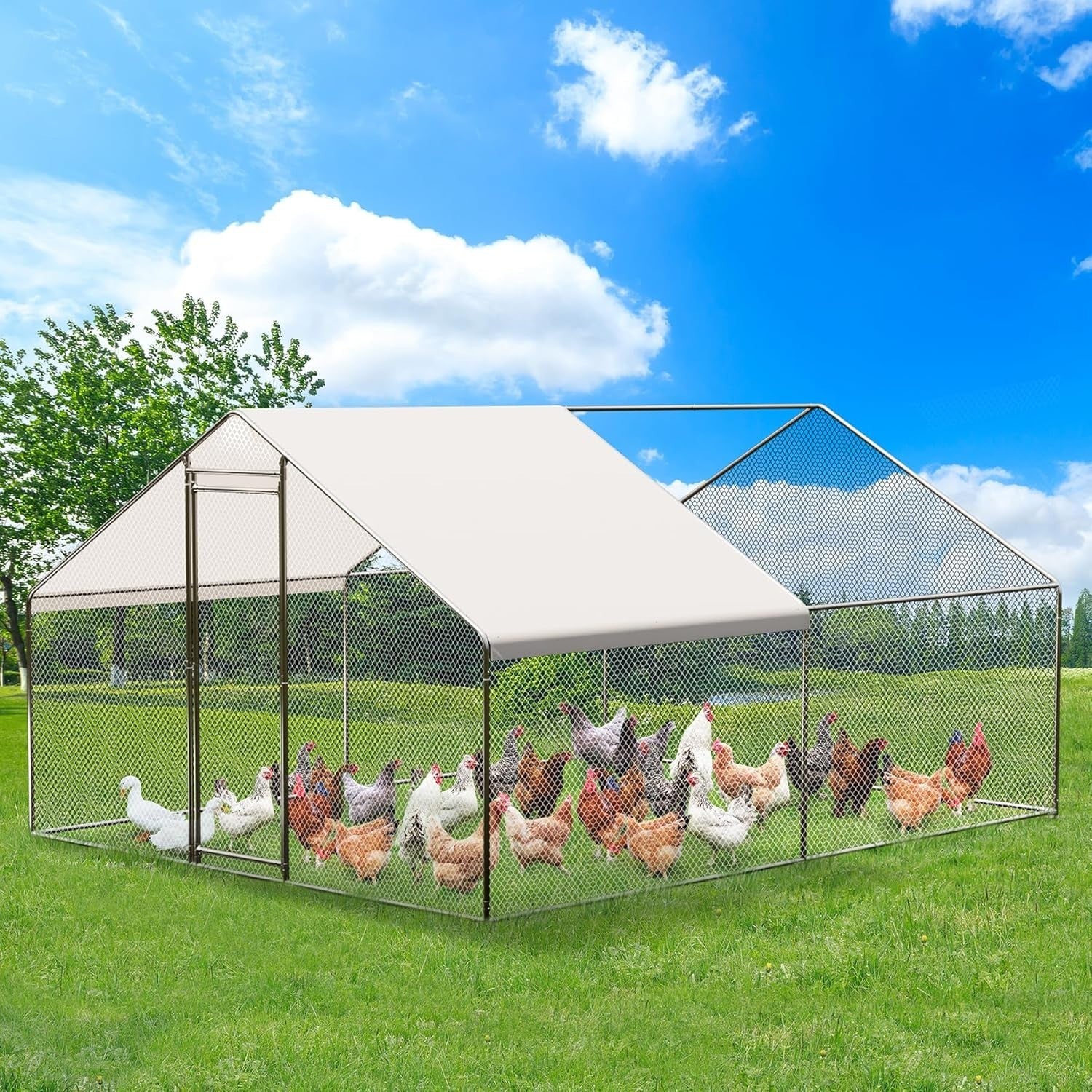 9.8x13.1FT Large Walk In Chicken Coop Metal Run w Cover