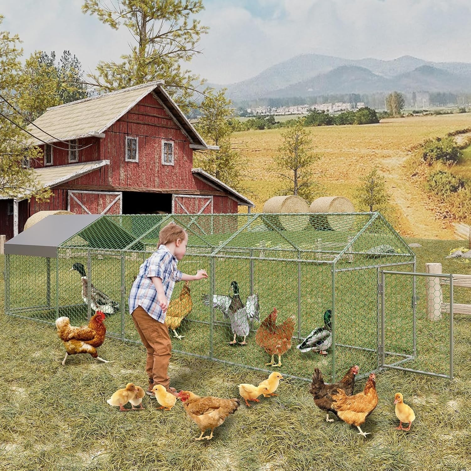 4m Walk In Chicken Run Galvanised Steel Coop 8-15 Hens
