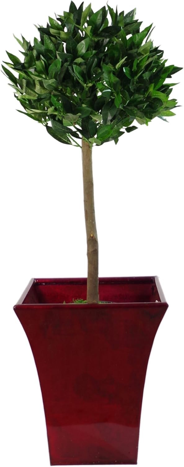 Pair of 90cm Bay Topiary Ball Trees Artificial Realistic Indoor Outdoor Decor