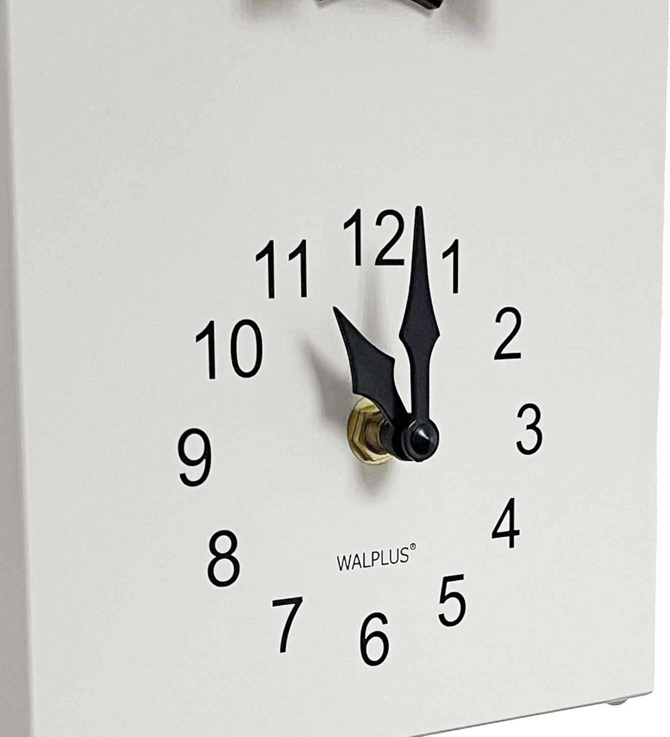 Minimalist Cuckoo Wall Clock Battery Operated Modern Pendulum 25cm