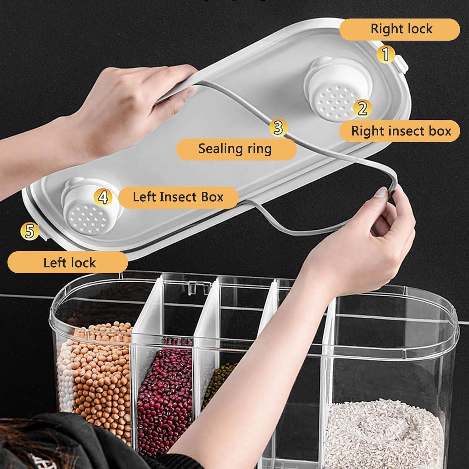 Wall Mounted 20KG Rice Dispenser 5 Grid Airtight