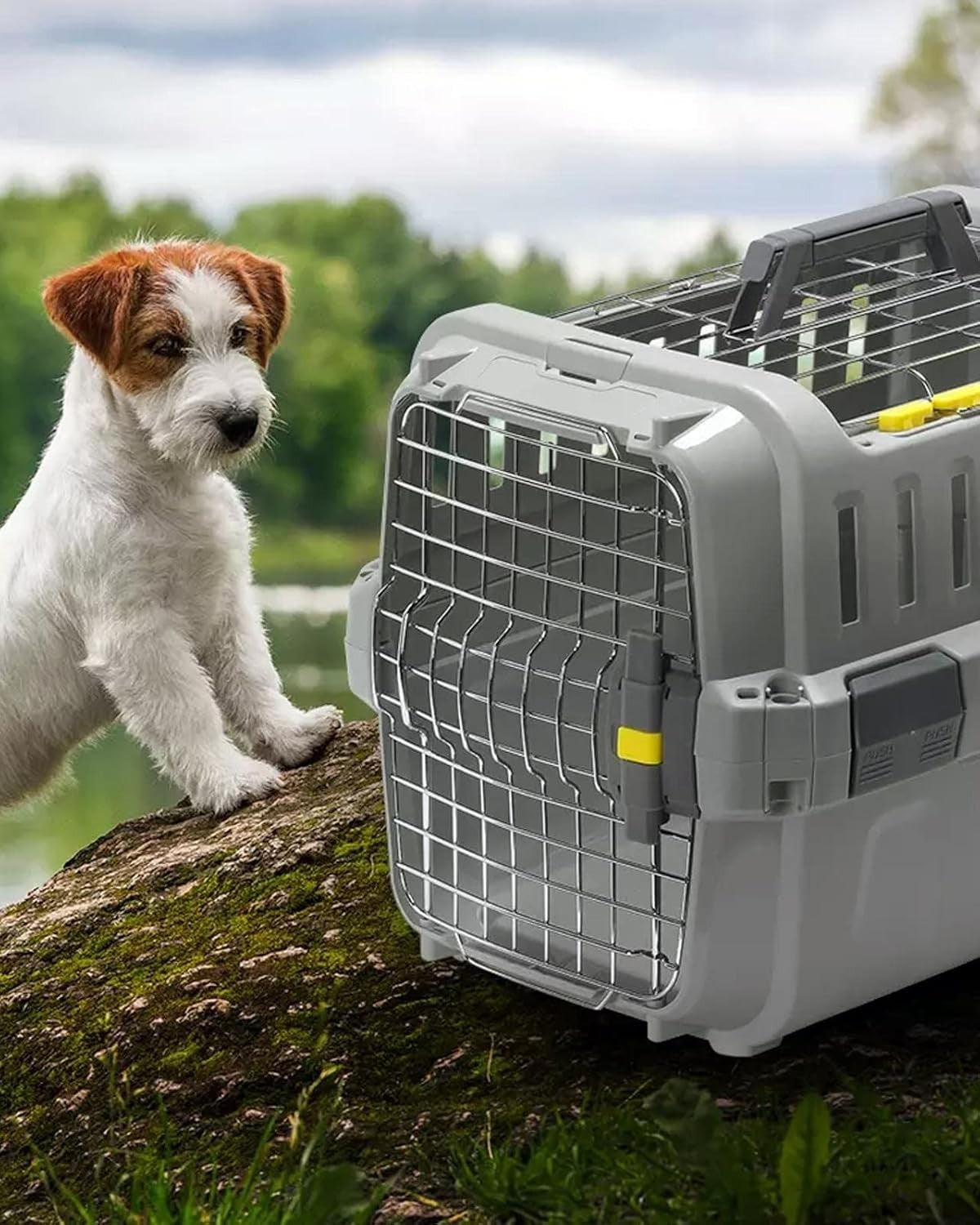Pet Carrier Crate Small Durable Travel Cage Foldable Plastic Cat Box Air Vents