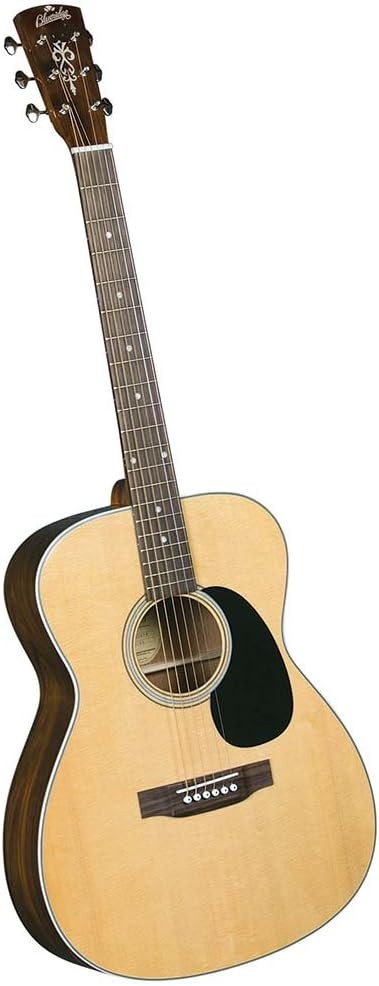 000 Acoustic Guitar Solid Spruce Top Rosewood Natural Finish