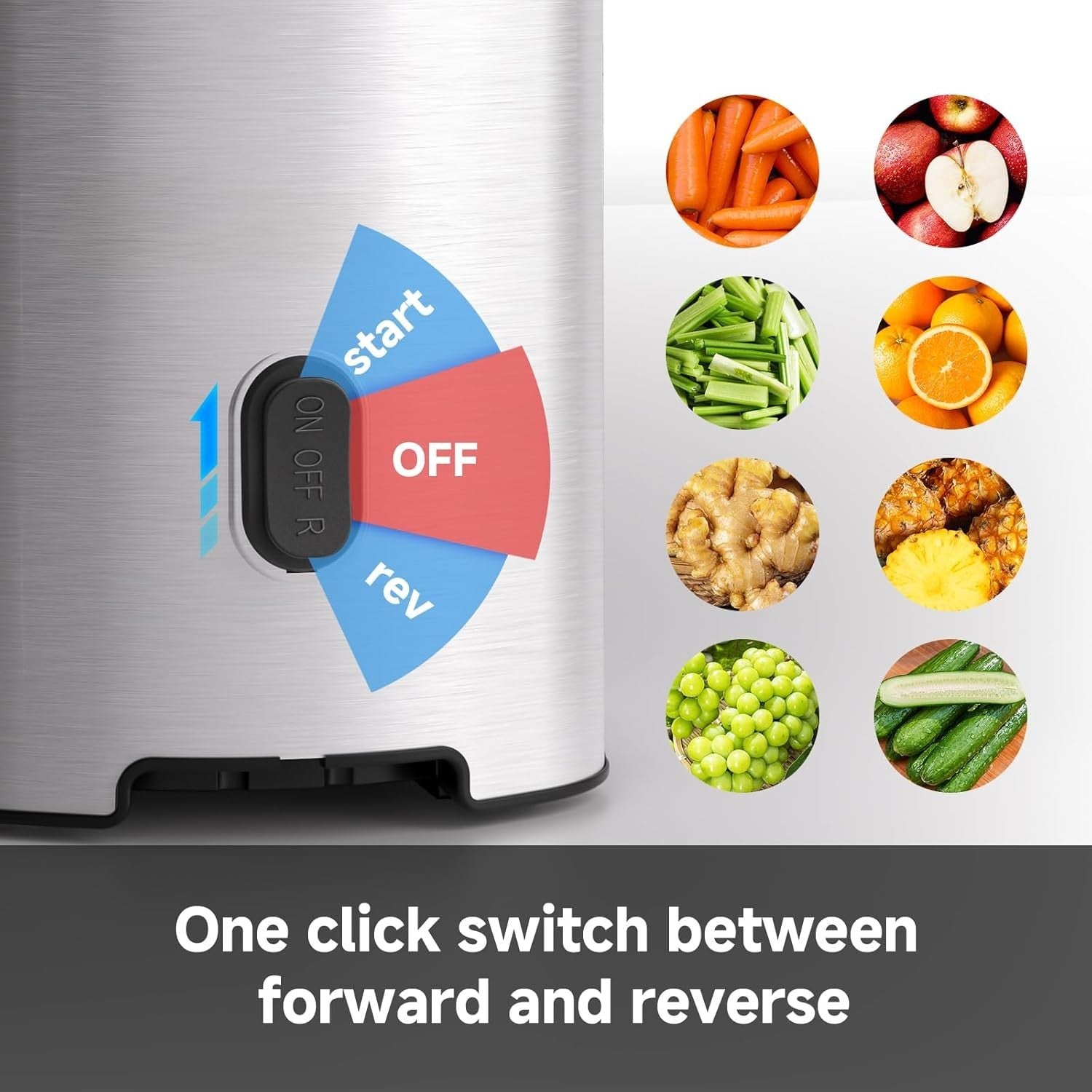 Cold Press Juicer Stainless Steel 126mm Wide Chute Slow Masticating
