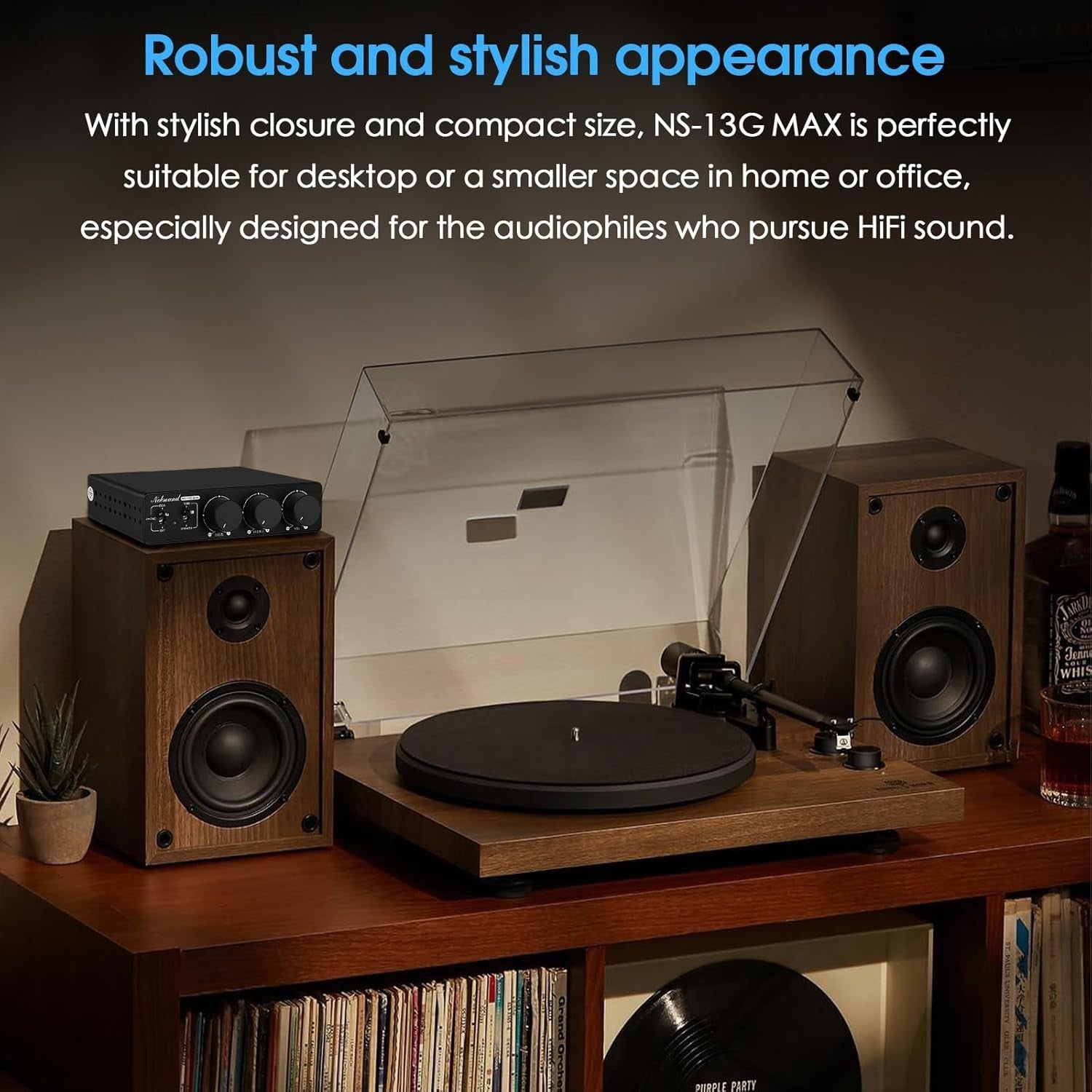 Mini HiFi Stereo Amplifier 600W Class D Phono RCA TPA3255