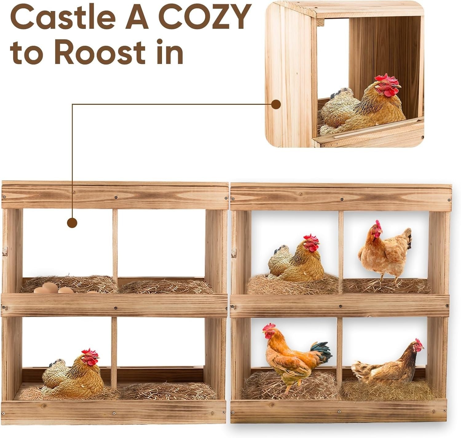 Wooden Chicken Nesting Box 4 Compartment Wall Mount