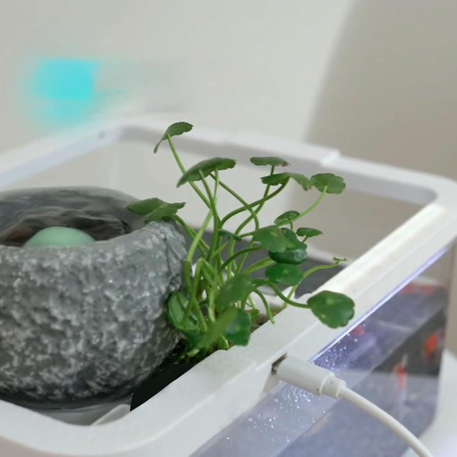 Small Desktop Fish Tank with Filter & Light for Betta Shrimp Aquarium