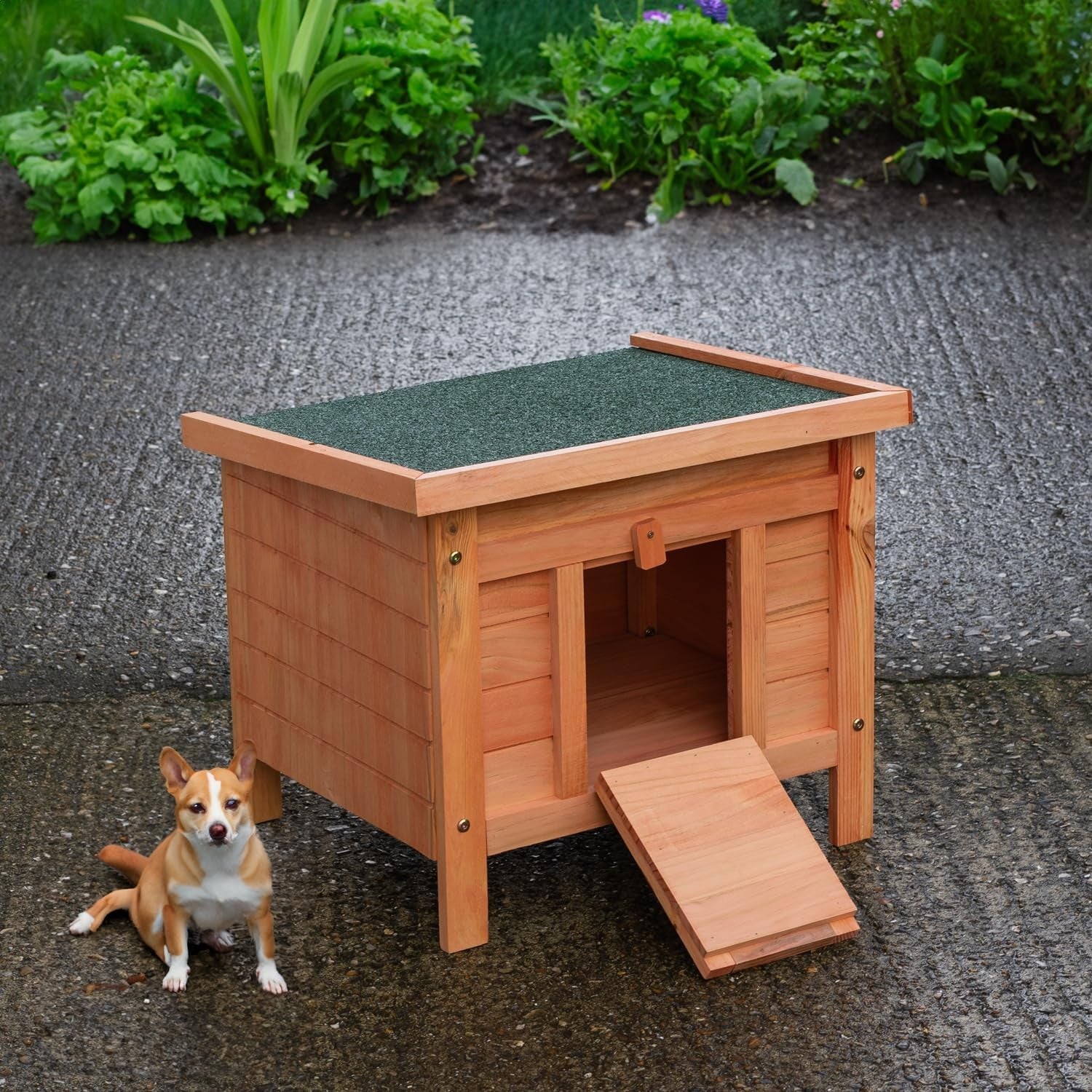 Wooden Animal Shelter Outdoor Small Pet House Lockable Predator Proof