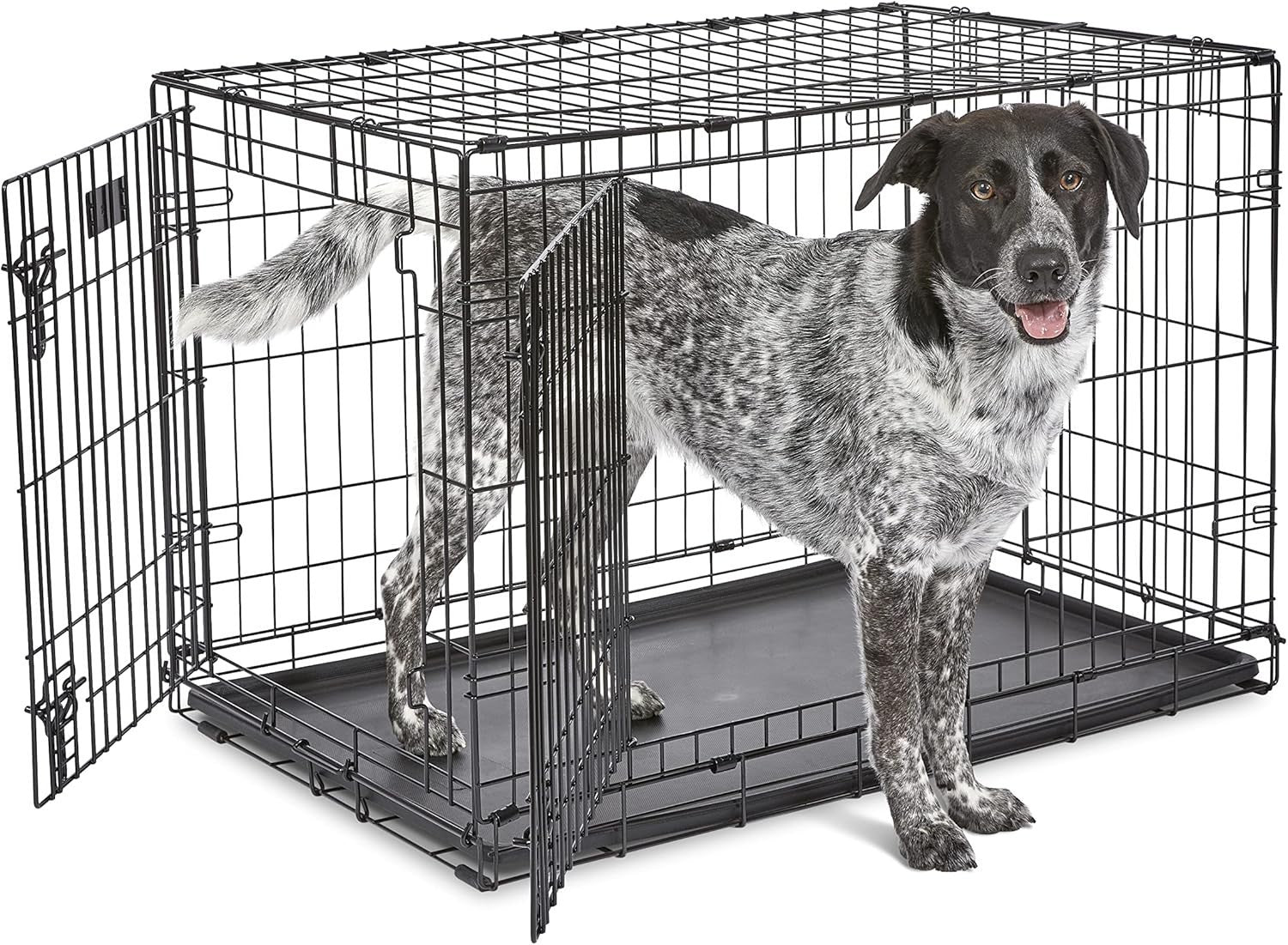 Double Door Medium-Large Dog Crate 36" Foldable Metal Cage with Divider & Pan