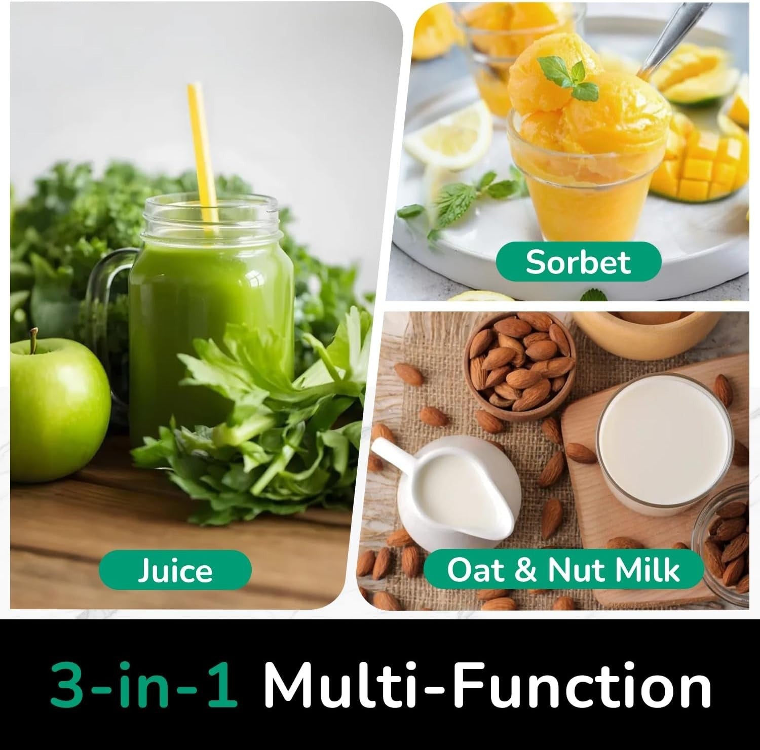 Cold Press Juicer 350W 5.8in Wide Feed Chute Whole Fruit High Yield