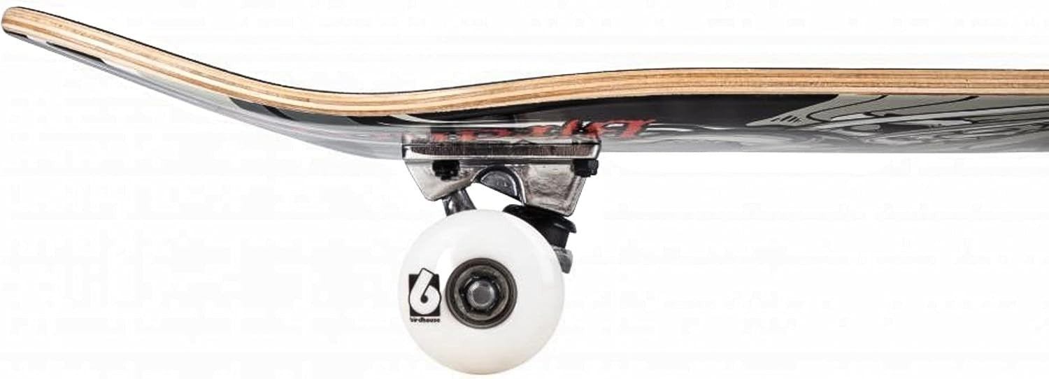 Stage 1 Falcon III 7.75 Complete Skateboard Black Deck