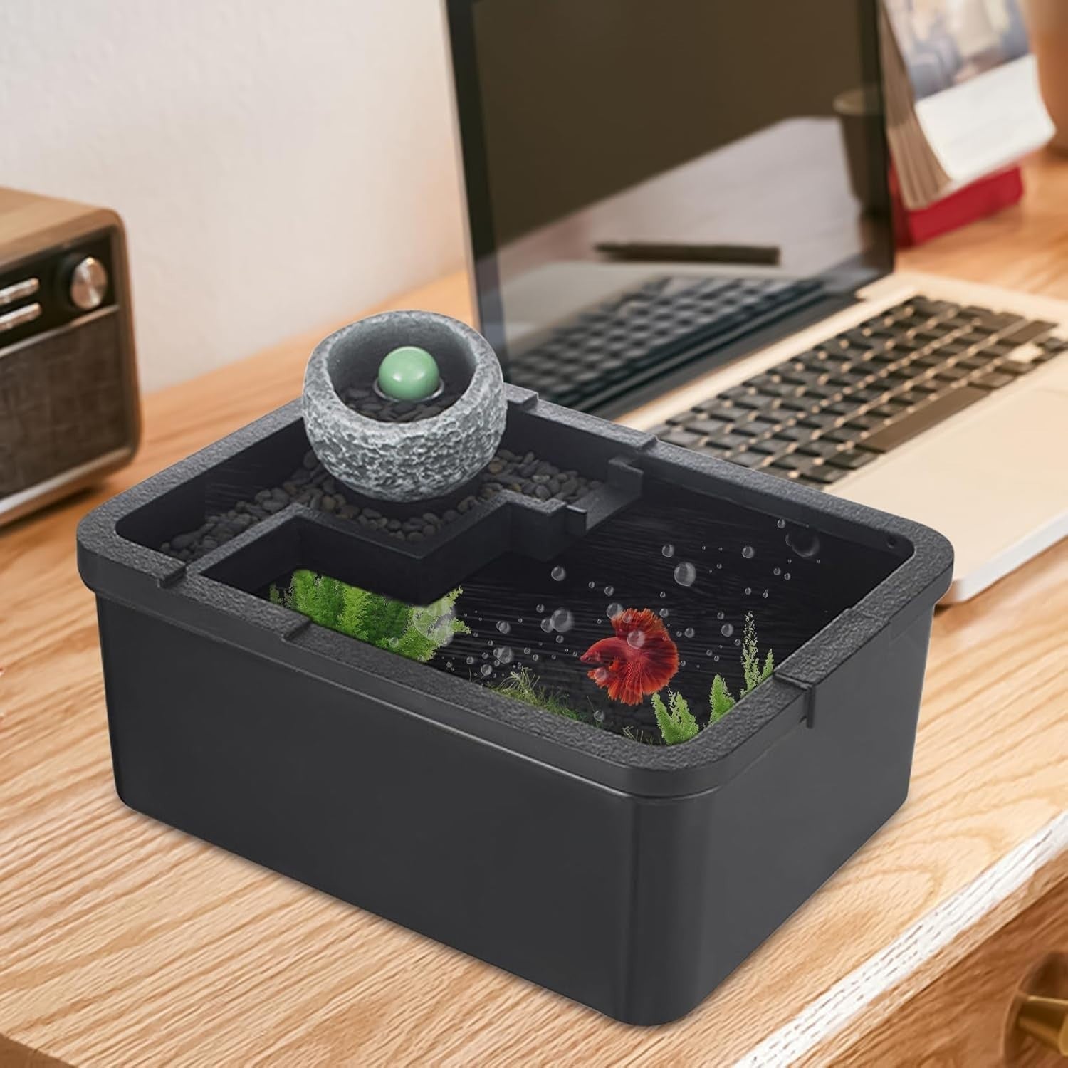 Mini Desktop Fish Tank with USB Pump & LED Light for Shrimp, Jellyfish