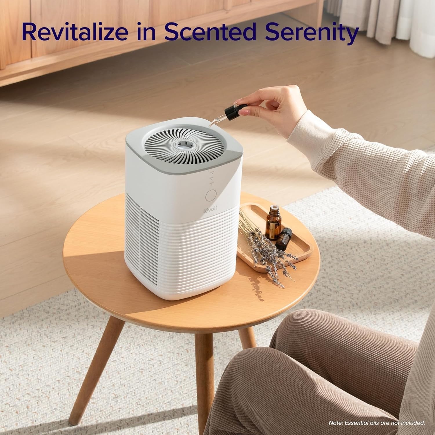 Dual HEPA Air Purifier Bedroom Aromatherapy Quiet Sleep Mode Ozone Free