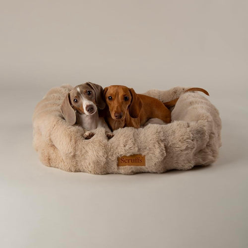 Luxury Faux Fur Dog Box Bed 60x50cm Bolstered Washable