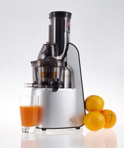 Whole Slow Juicer Multipurpose Smoothie Ice Cream Maker Premium Design