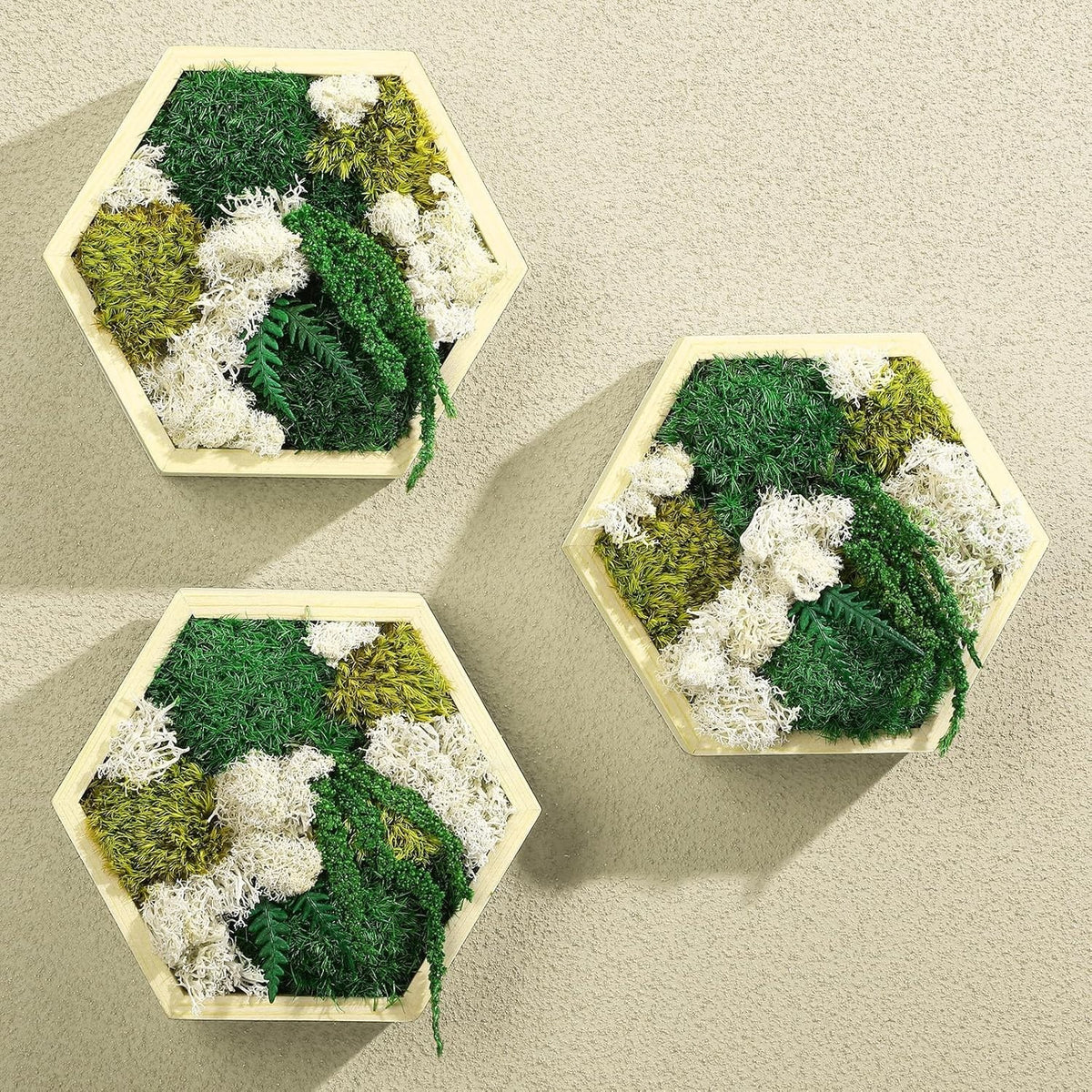 3Pc Moss Wall Art Hexagon Wood Frame Green Decor Hanging Set