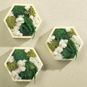 3Pc Moss Wall Art Hexagon Wood Frame Green Decor Hanging Set
