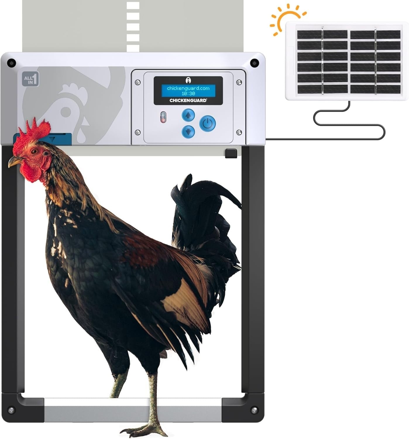 Automatic Chicken Coop Door Opener Grey Solar Timer Light Sensor Winter Mode