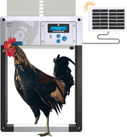 Automatic Chicken Coop Door Opener Grey Solar Timer Light Sensor Winter Mode