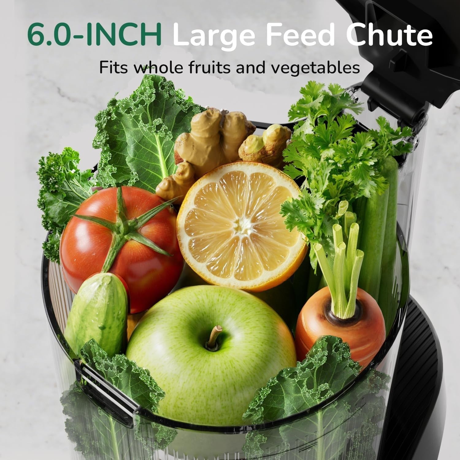 Cold Press Juicer 350W 5.8in Wide Feed Chute Whole Fruit High Yield