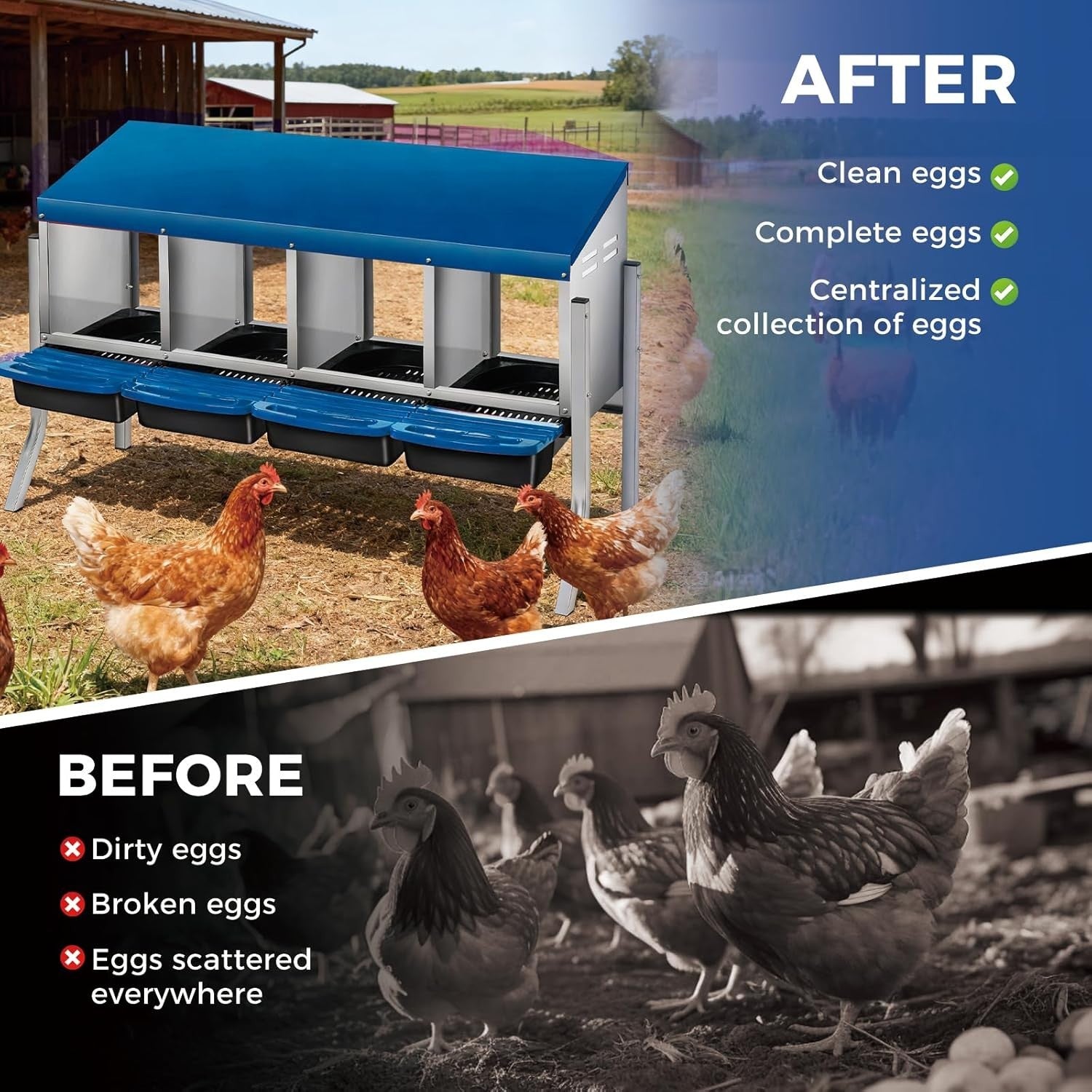 4 Chamber Steel Chicken Nesting Box with Stand Pull Out Tray