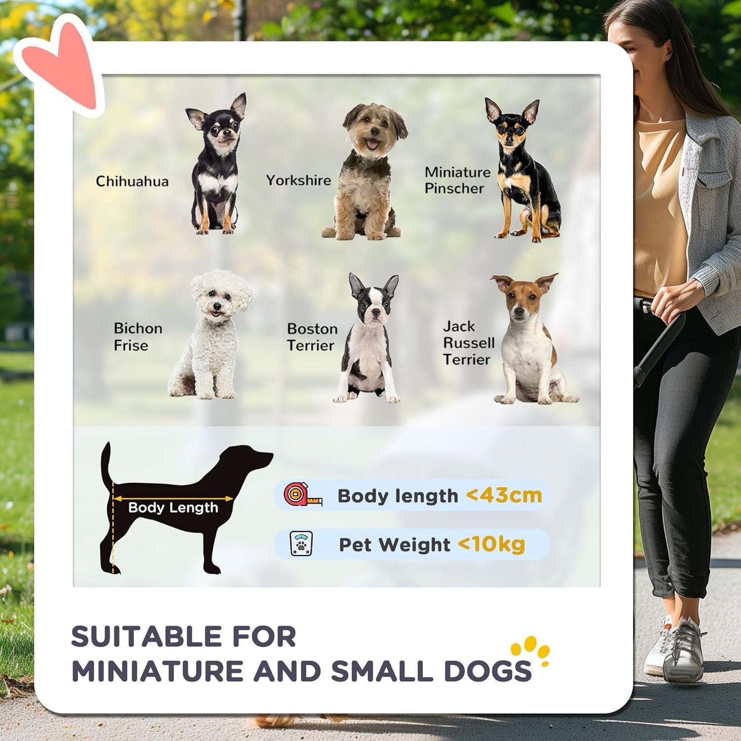 Foldable Dog Stroller Pushchair for Small Dogs 4 Wheels Canopy Brake