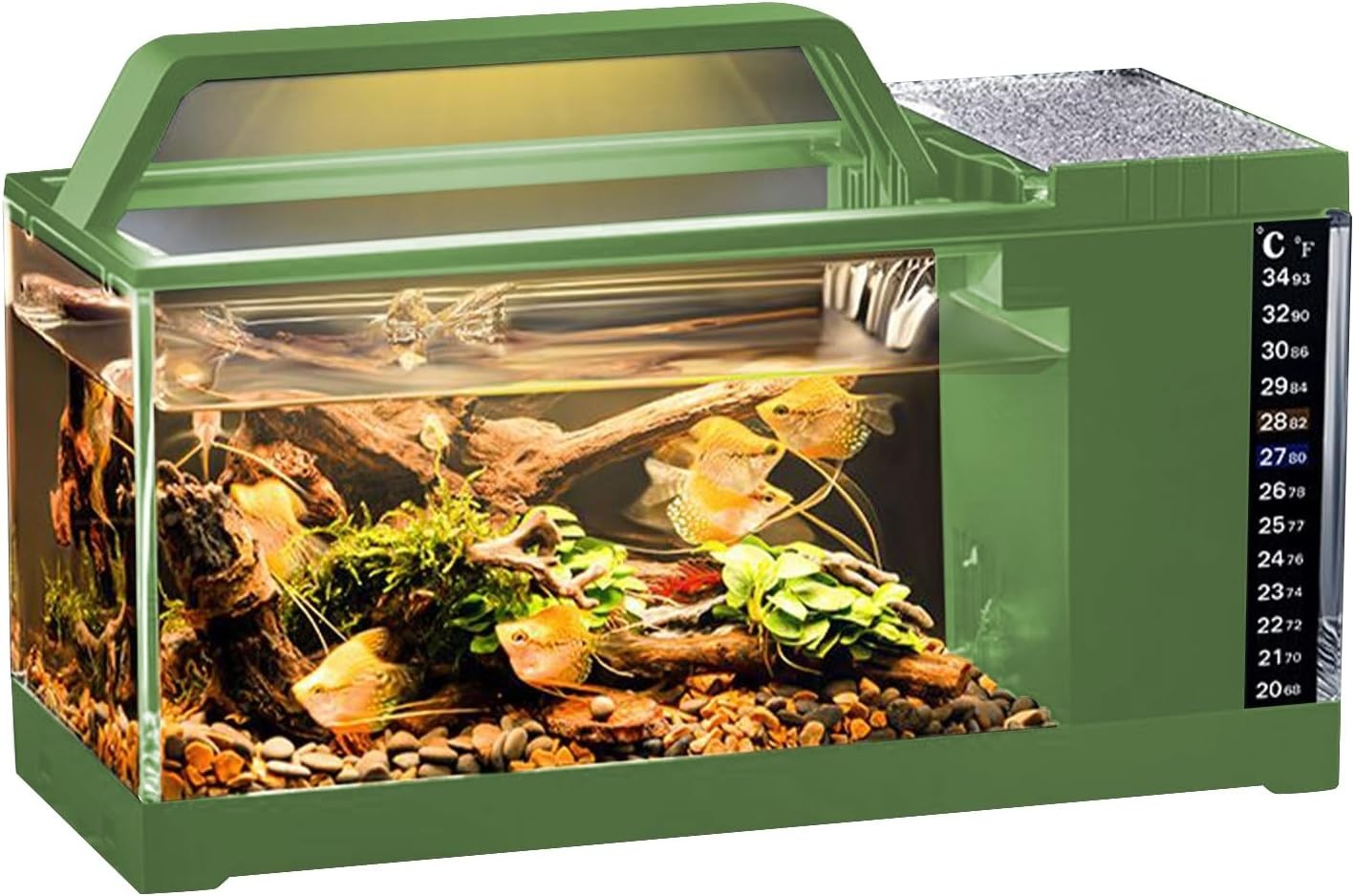 Small LED Fish Tank with Quiet Filtration Pump | Desktop Aquarium Kit