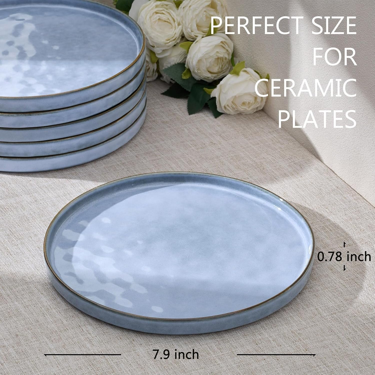 7.9in Ceramic Dinner Plates Set of 6 Scratch Resistant Microwave Safe