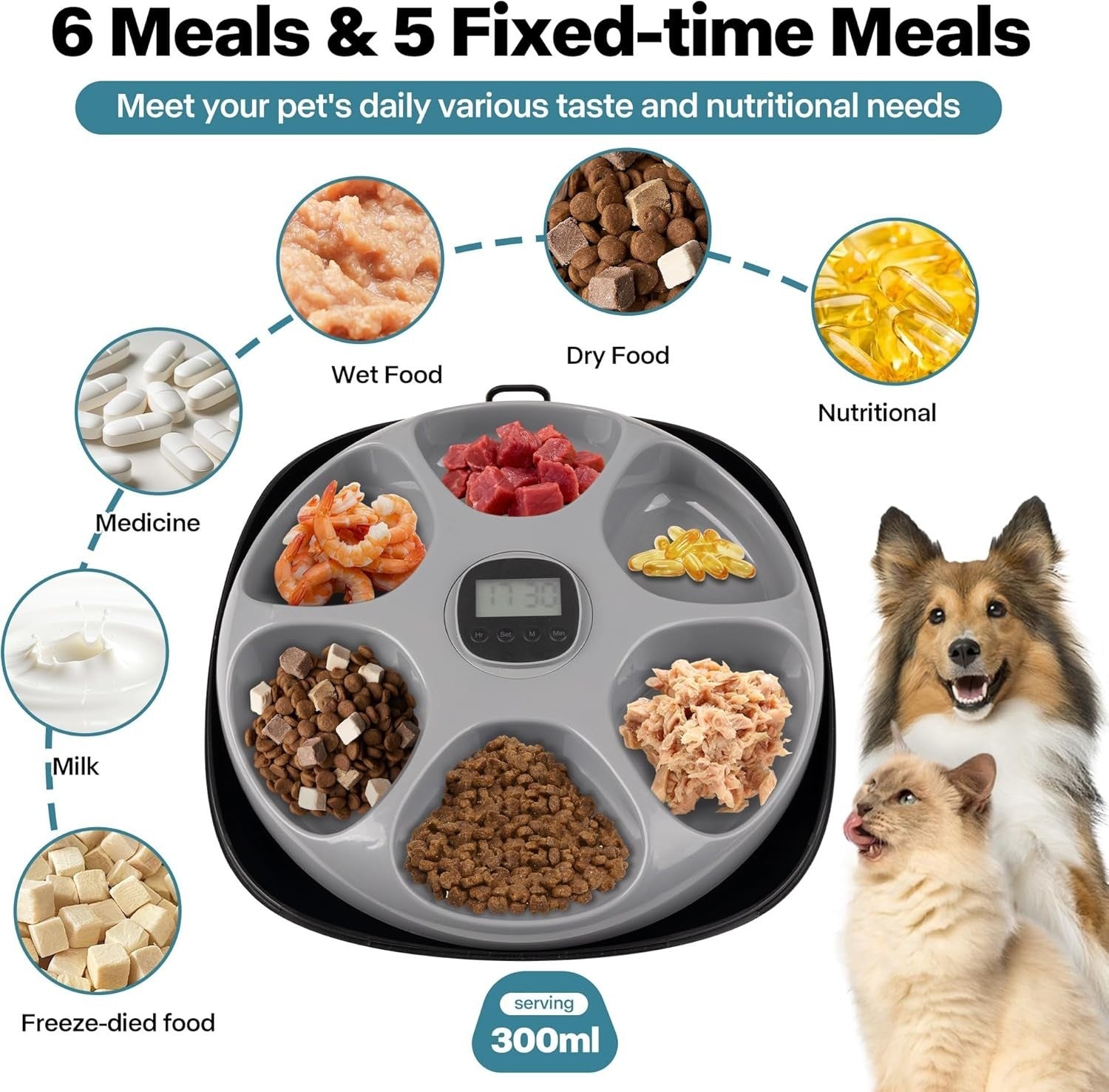 Automatic Cat Feeder Wet Dry Food Timer 6 Meal Rechargeable Ice Packs