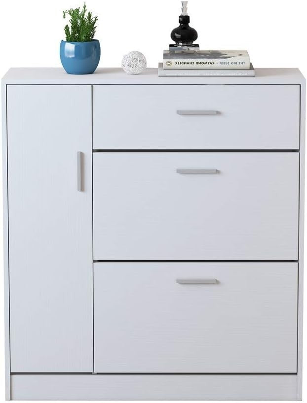 Modern 2-Drawer Wooden Shoe Cabinet with Adjustable Storage for 20 Pairs