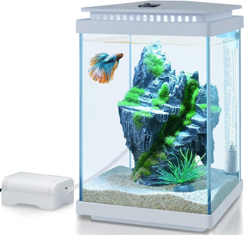 4L Mini Glass Fish Tank Starter Kit with LED Light, Air Pump & Accessories