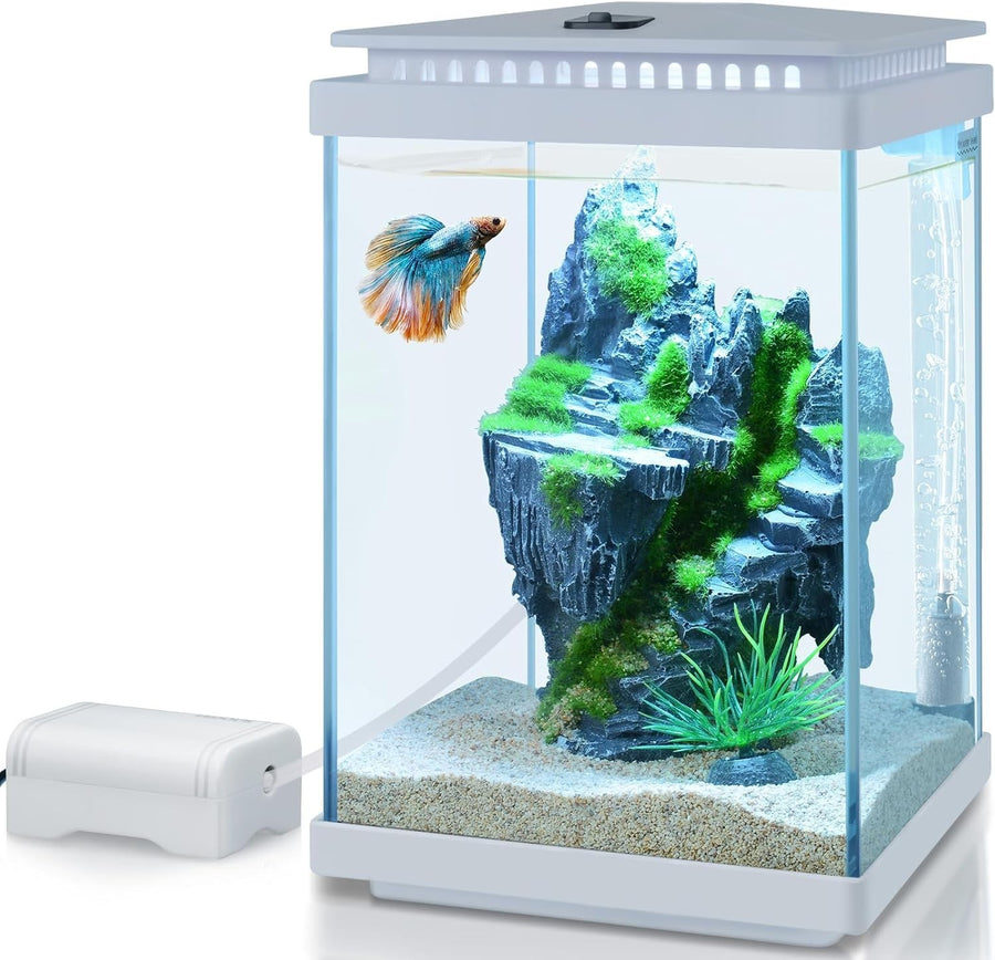 4L Mini Glass Fish Tank Starter Kit with LED Light, Air Pump & Accessories