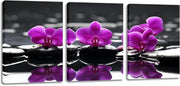 3‑Piece Purple Orchid & Black Stone Canvas Wall Art 12×16″ Decor