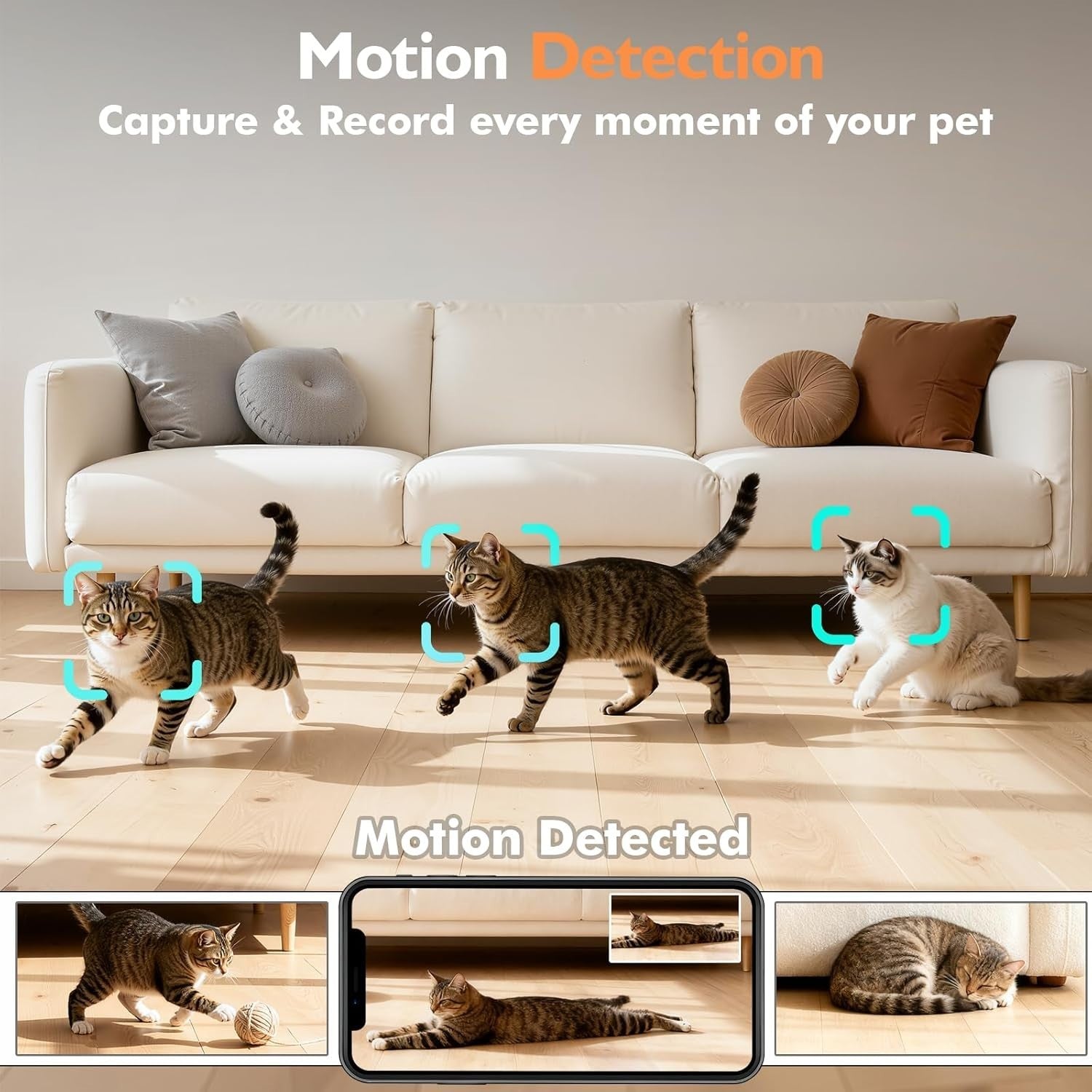 2K Camera Automatic Cat Feeder WiFi App Control 5L Food 4L Water