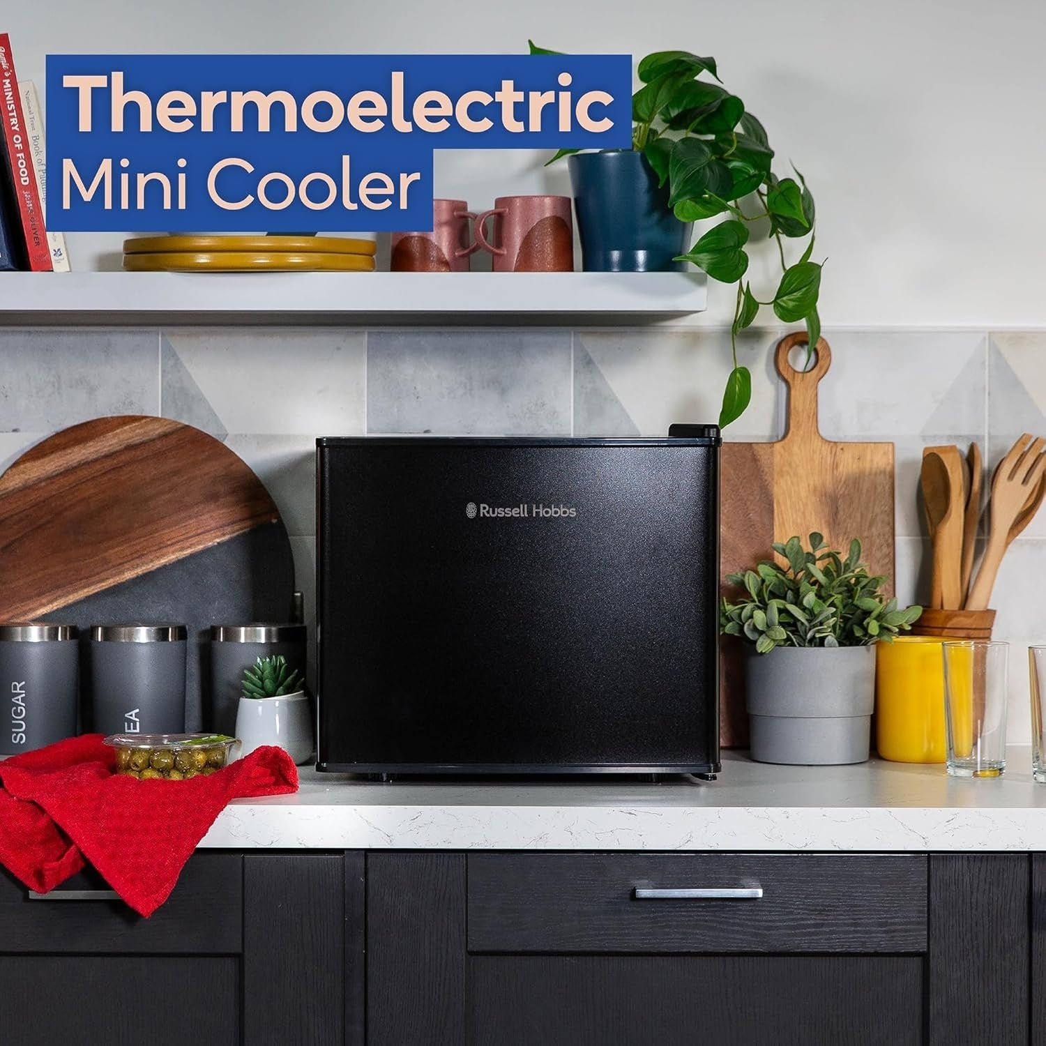 17L Mini Cooler Portable Thermoelectric Compact Fridge Manual Temp Black