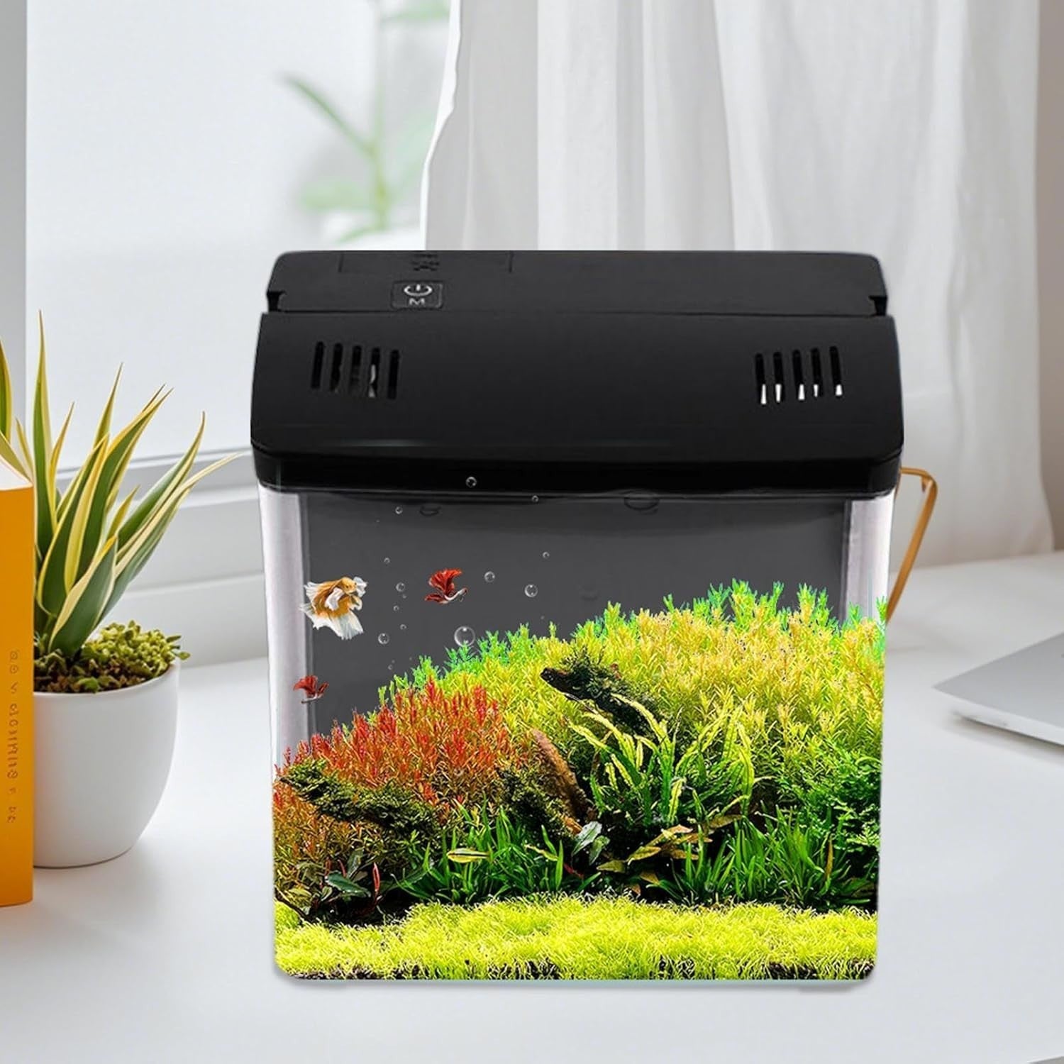 Desktop Shrimp Aquarium with Filter | Small Betta Fish Tank for Home & Office