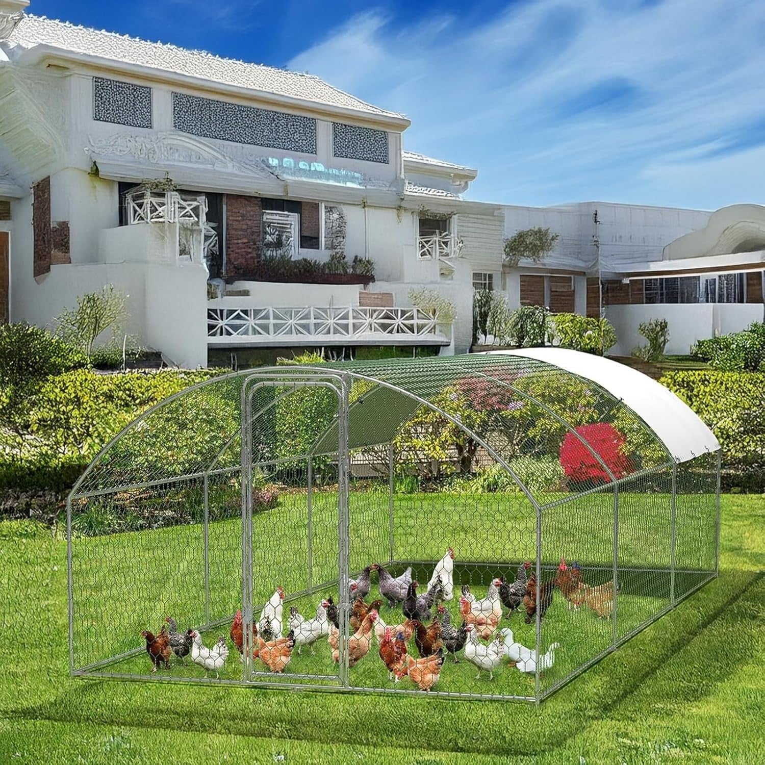 Large Walk In Chicken Run 5.8x3m Galvanised Poultry Pen