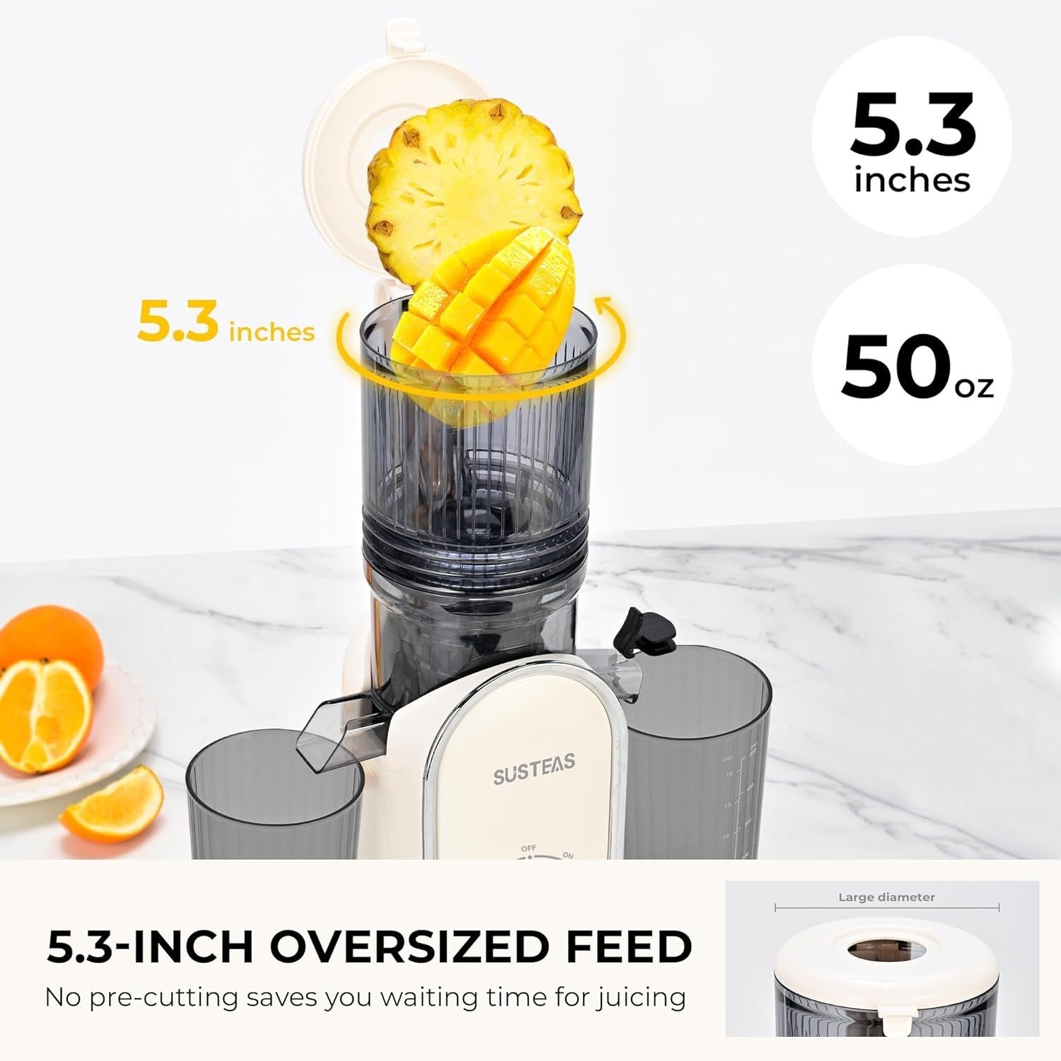 Cold Press Juicer 133mm Large Feed Chute Whole Fruit Slow Masticating 300W