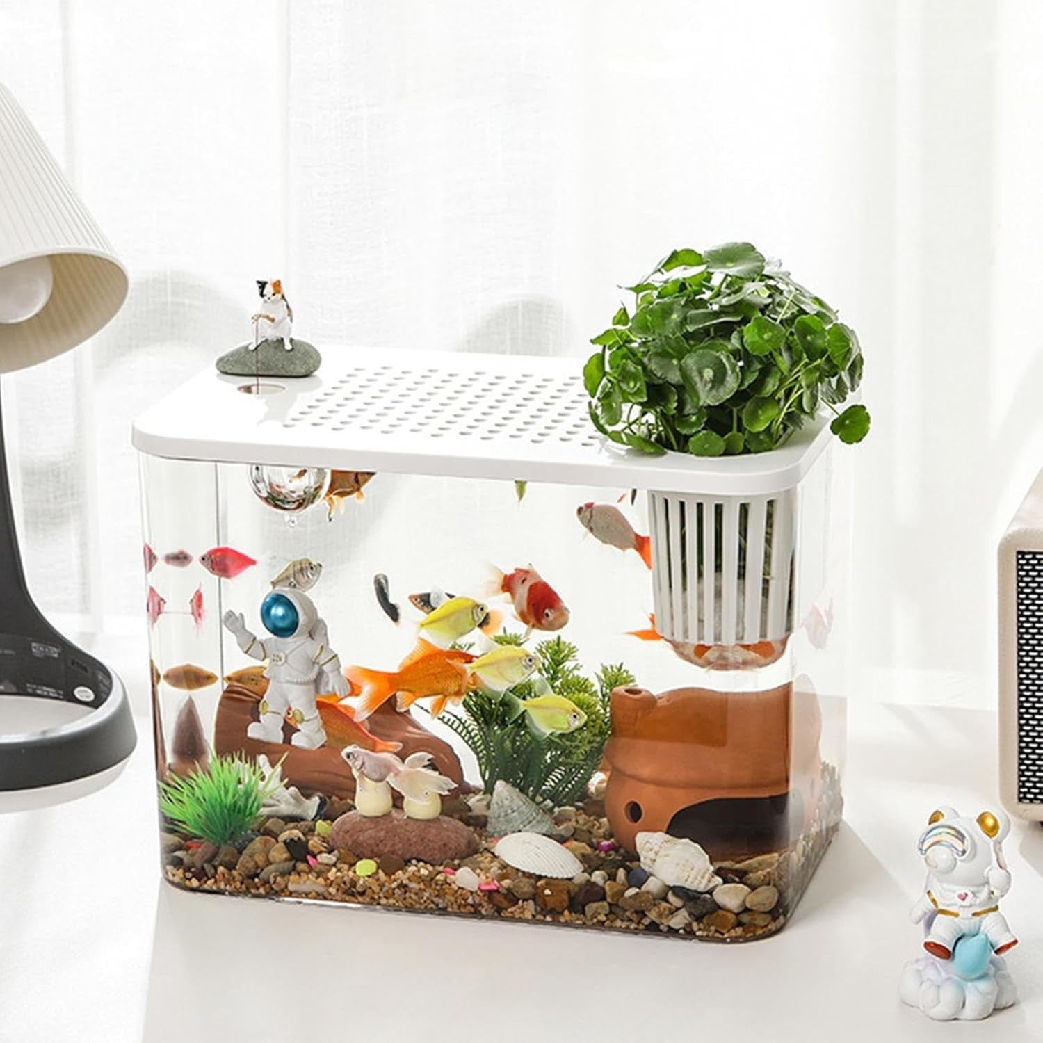 Desktop Aquarium Starter Kit | Small Turtle & Goldfish Tank for Home