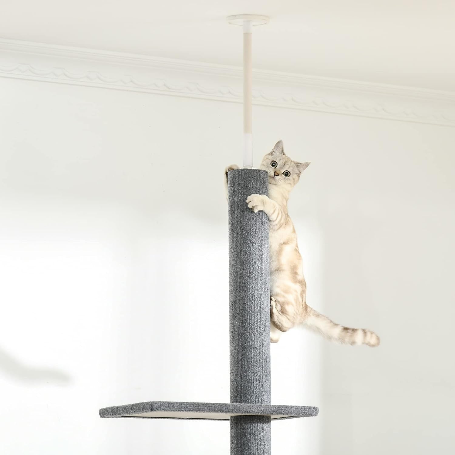 Floor to Ceiling Cat Tree Tower Adjustable 260cm Space Saving Climbing Posts
