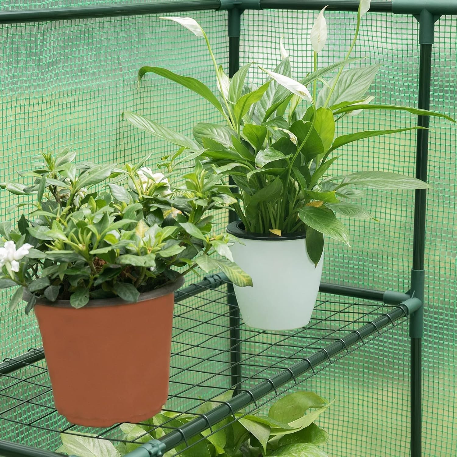 Walk-In Greenhouse 6 Shelves | Reinforced PE Cover | Steel Frame | Roll-Up Door
