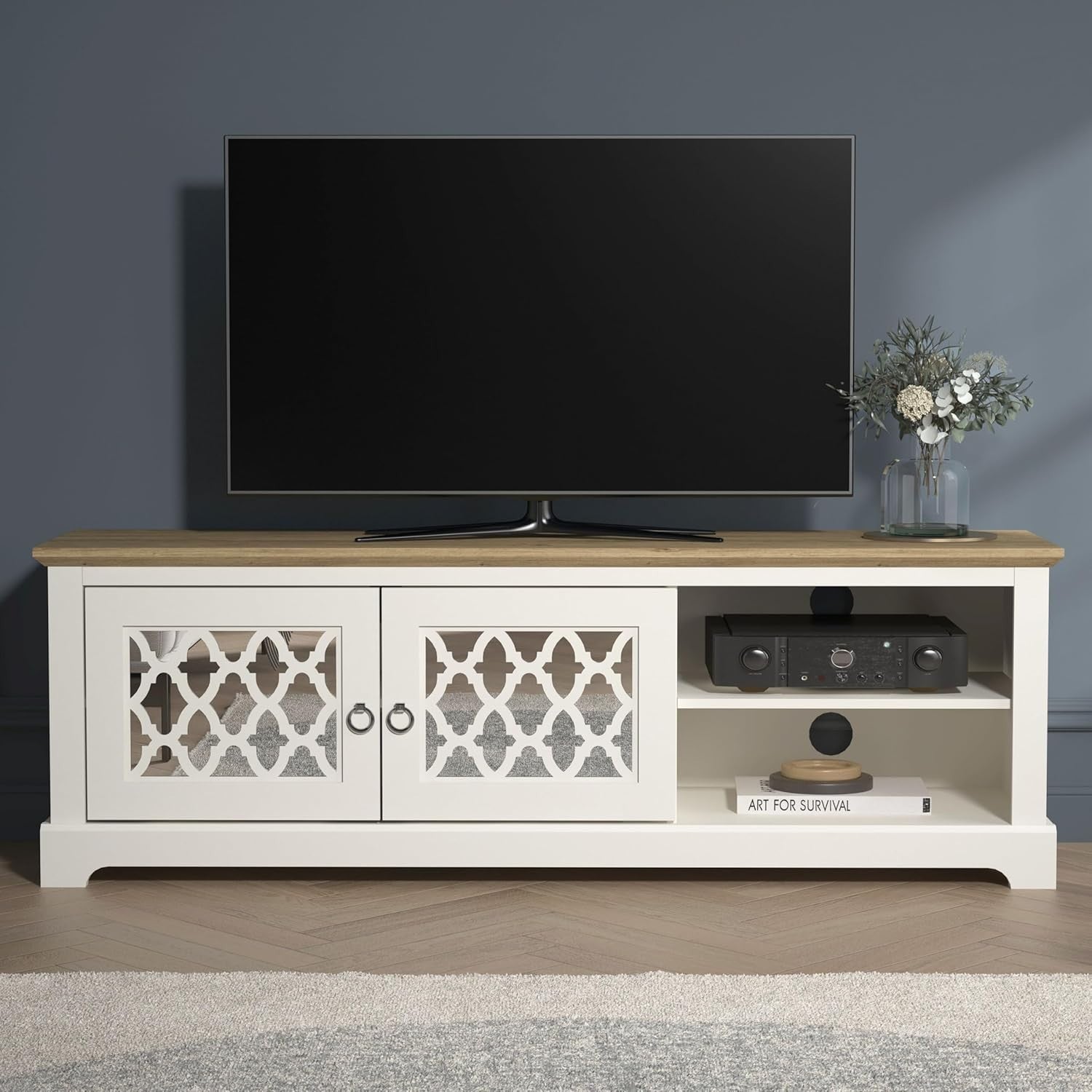 TV Unit for 65 Inch TV Cabinet with Doors Storage Shelf Media Console