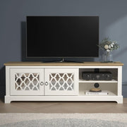 TV Unit for 65 Inch TV Cabinet with Doors Storage Shelf Media Console