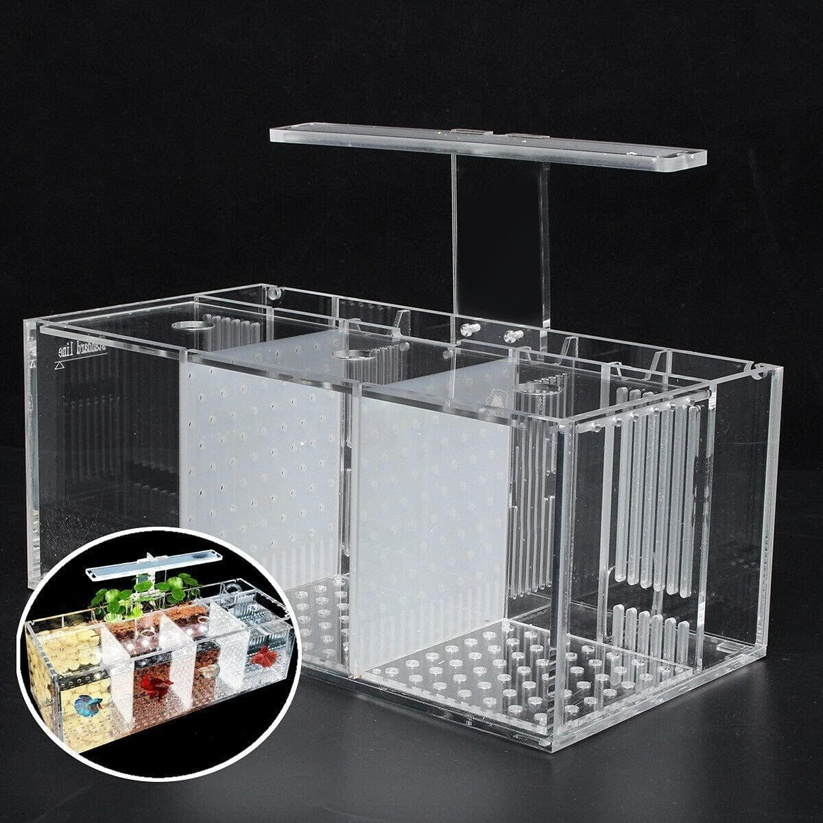 Mini Acrylic Fish Tank with LED Light & Water Pump Desktop Aquarium